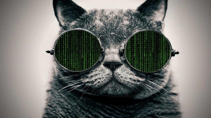 Golang 的 Web 框架该怎么选择？Web 开发又该怎样学？